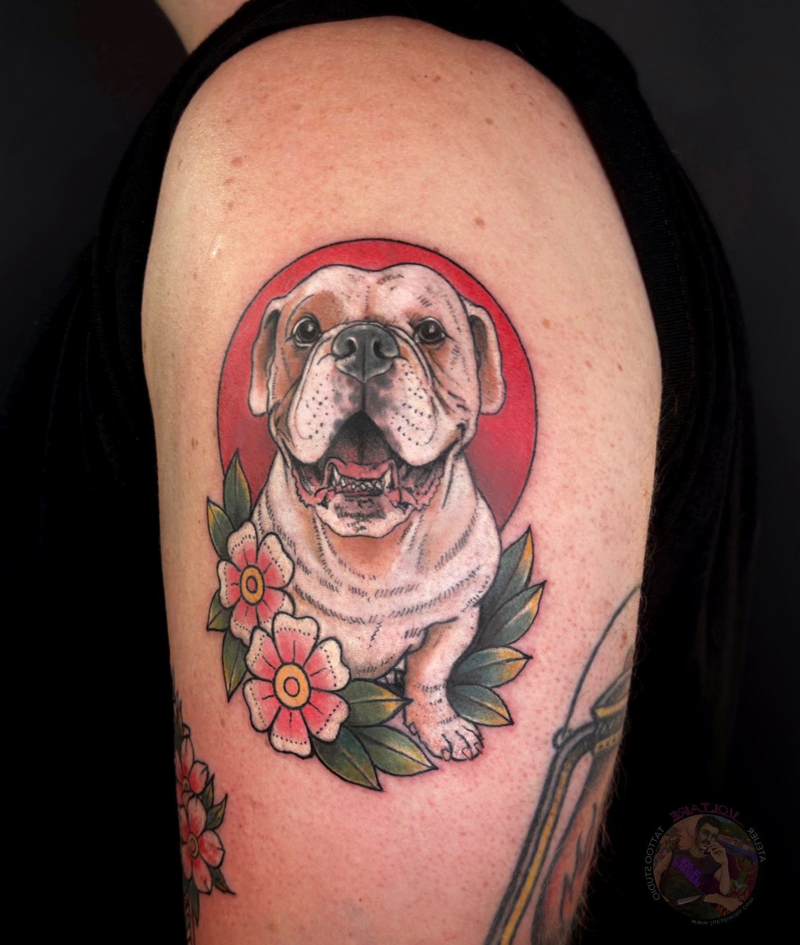 Color Tattoo von Luca Limito im Atelier Voltaire Tattoo Studio Deggendorf — Neo-Traditional Bulldogge mit rotem Kreis und pinken Blüten am Oberarm / Color tattoo by Luca Limito at Atelier Voltaire Tattoo Studio Deggendorf — neo-traditional bulldog with red circle and pink flowers on upper arm