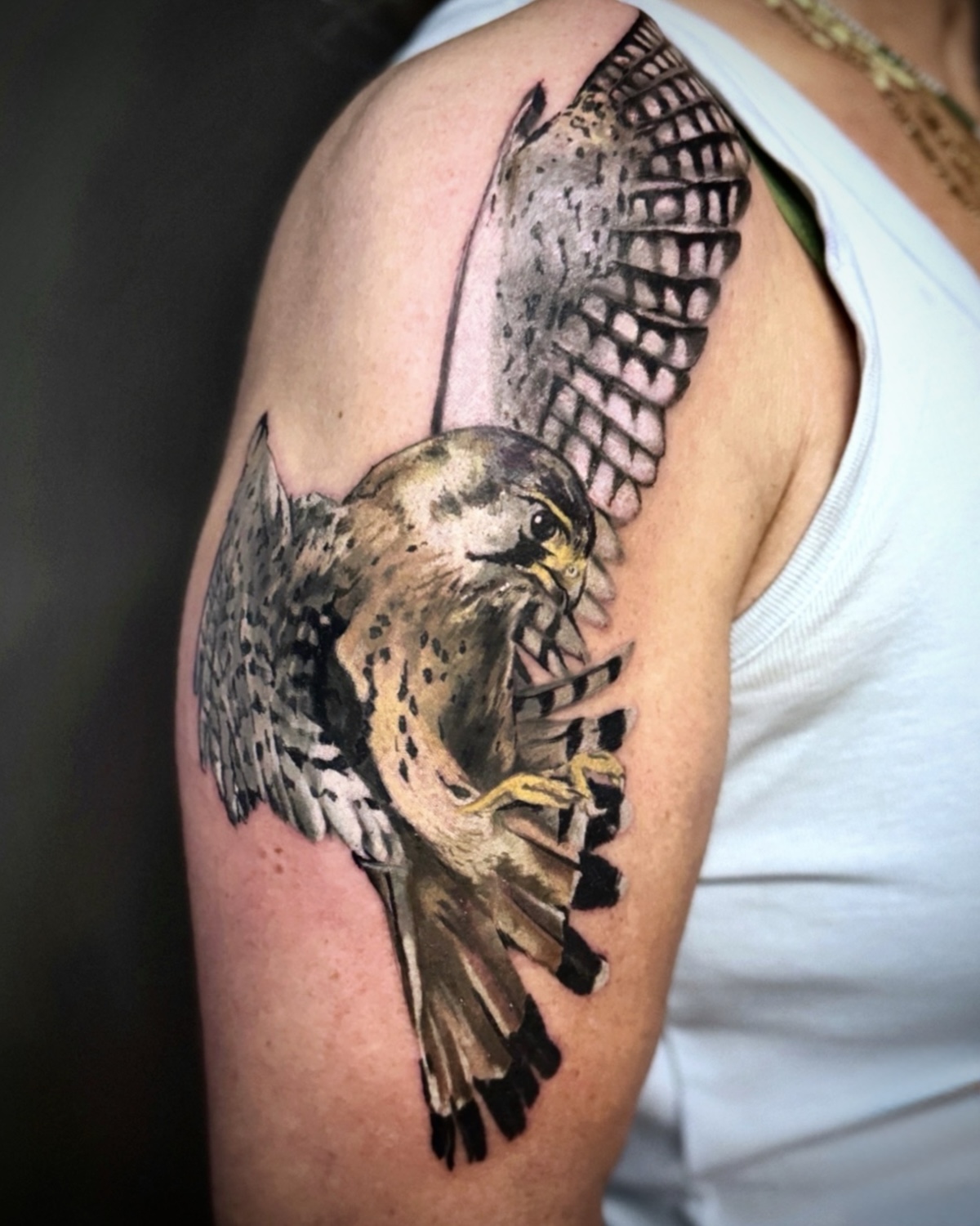 Animal Tattoo Deggendorf — Color Turmfalke Greifvogel mit ausgebreiteten Flügeln am Oberarm von Luca Limito Tattoo, Atelier Voltaire Tattoo Studio / Animal tattoo Deggendorf — color kestrel bird of prey with spread wings on upper arm by Luca Limito at Atelier Voltaire Tattoo Studio