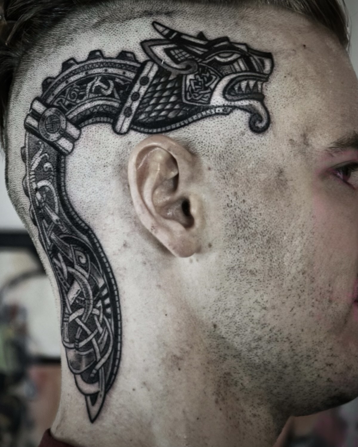 Ethnisches nordisches Kopf Tattoo mit Drachenmotiv — Luca Limito Atelier Voltaire Tattoo Deggendorf