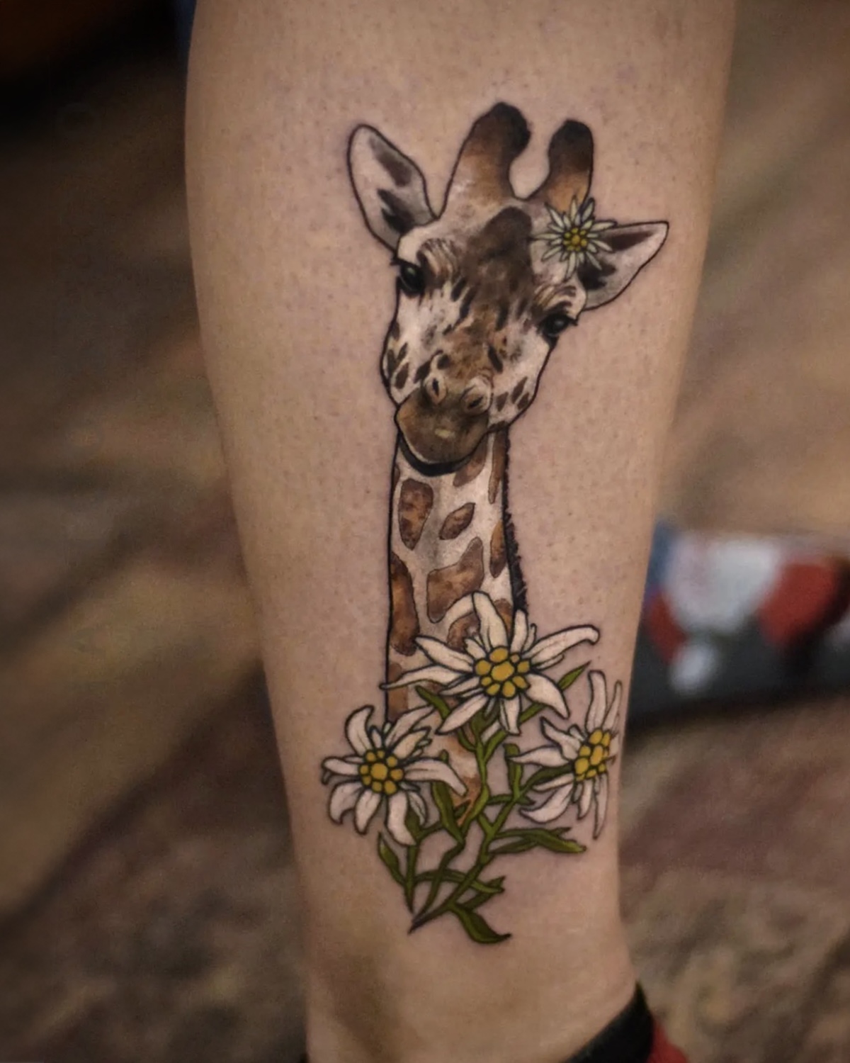 Tier Tattoo Deggendorf — Color Giraffe mit Edelweiß-Krone Unterschenkel Tattoo, Tätowierer Deggendorf Luca Limito Tattoo, Atelier Voltaire Tattoo Studio / Animal tattoo Deggendorf — color giraffe with edelweiss crown on lower leg by Luca Limito at Atelier Voltaire Tattoo Studio