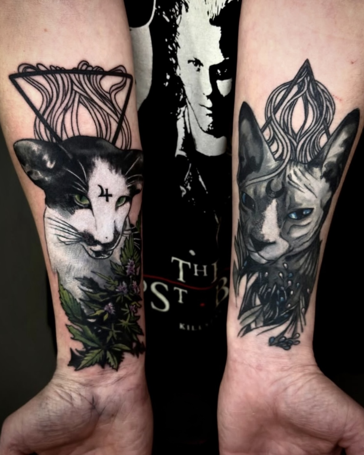 Tier Tattoo Deggendorf — Neo Traditional Katzen Diptychon mit Sphynx und Hauskatze, Hanf und Symbolik am Unterarm von Luca Limito Tattoo, Atelier Voltaire Tattoo Studio / Animal tattoo Deggendorf — neo traditional cats diptych with sphynx and house cat on forearms by Luca Limito at Atelier Voltaire Tattoo Studio
